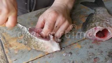 一个渔夫把一条活泼的<strong>大鱼</strong>切成碎片。 清洗淡水鱼以作进一步烹饪